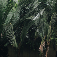 The Making of a Legacy: First Steps in the Trump Era